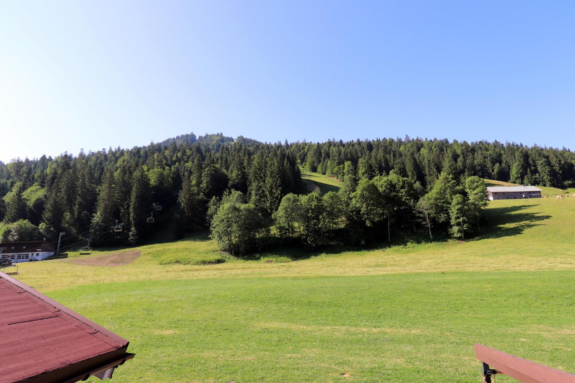Schelpenalp Berghotel Balderschwang Exterior foto